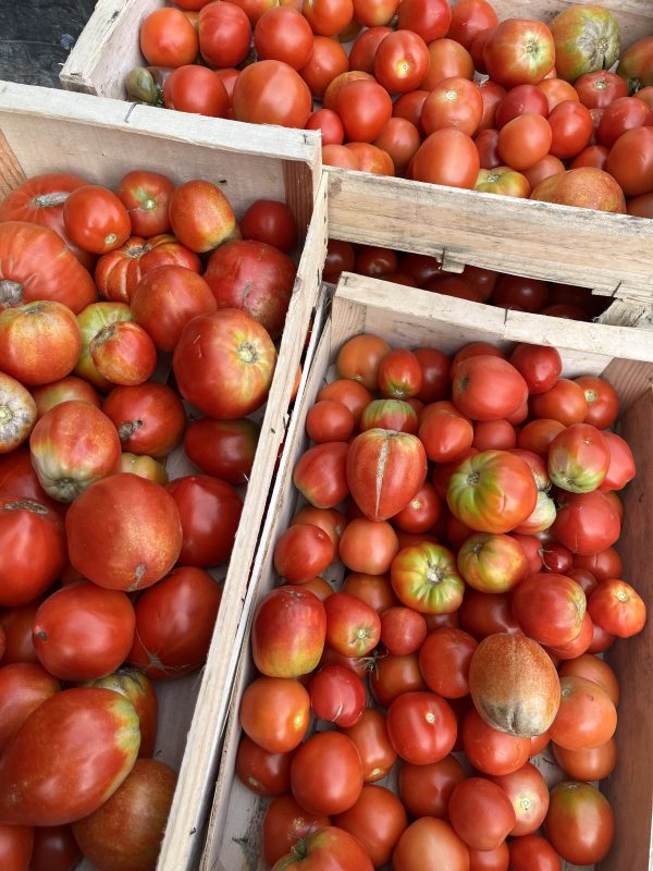 Crackers<br/> Tomate Provençale – Image 3