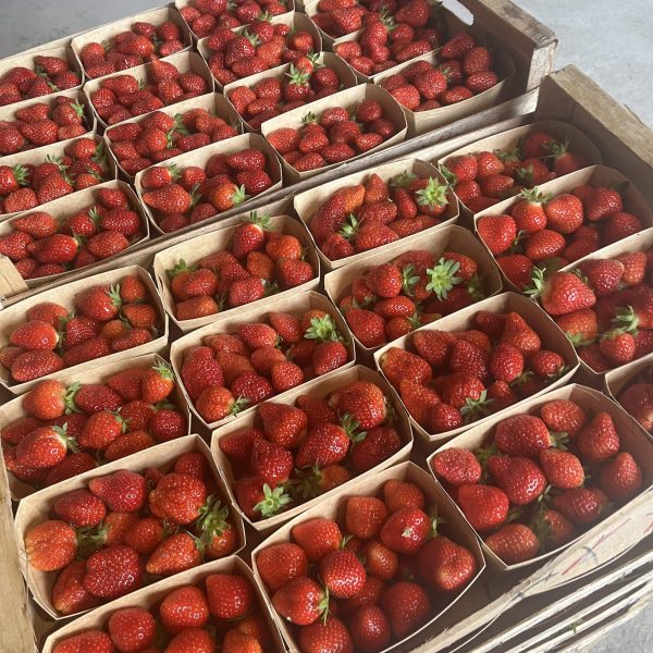 Le petit croustillant<br/> Fraise – Image 3