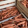 Crackers<br/> Carotte paprika fumé – Image 3